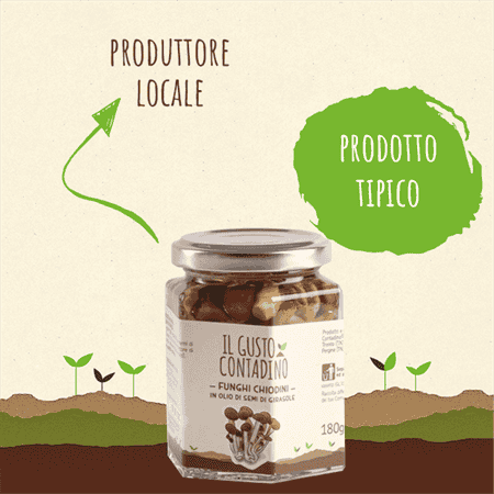 <STRONG>FUNGHI CHIODINI</STRONG><BR>IN OLIO DI SEMI DI GIRASOLE