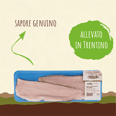 <STRONG>SALMERINO ALPINO</STRONG><BR>FILETTO